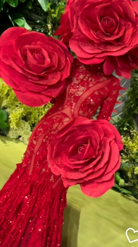 Honor naked pornstar gallery