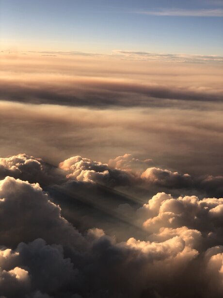 Angie xxx actress picture