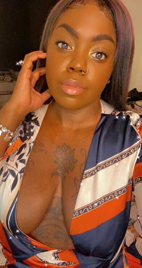 chassinova star top img