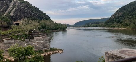 Ella berry hot star pic