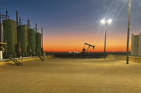 Silver Fox star nice pics