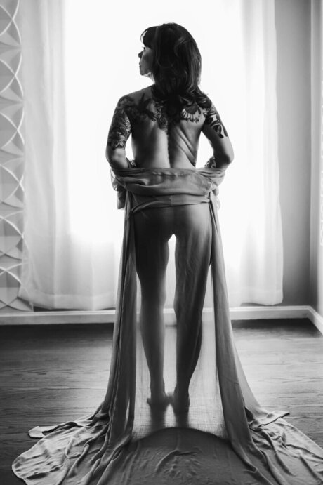 Dee Anne star art gallery