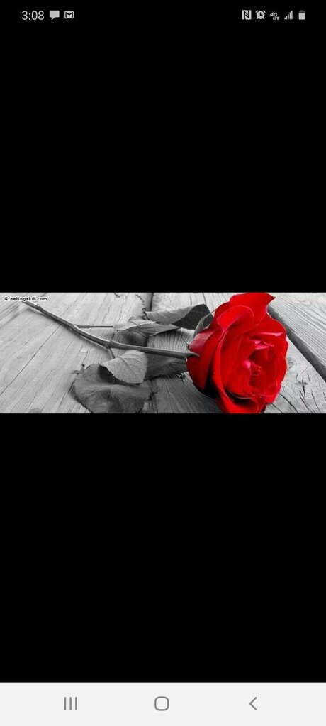 Katie Lady model sex pictures