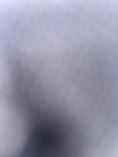 Slanginshit pornstar art archive