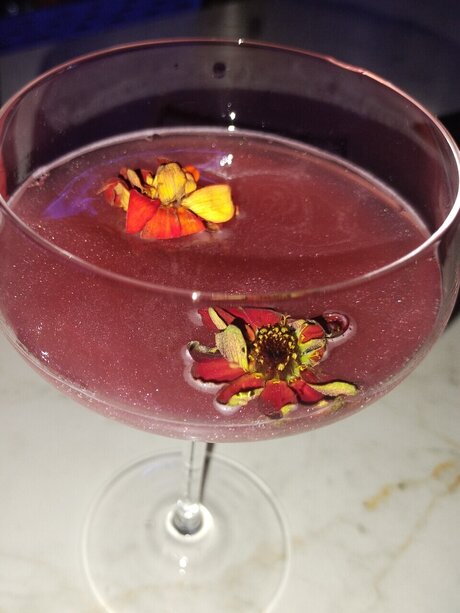 Delaney adult model img