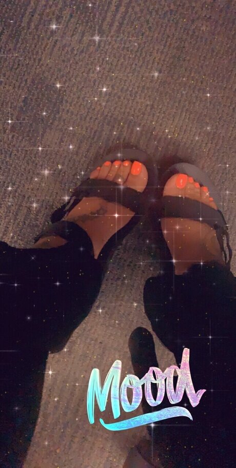 Paradyce star pornographic picture