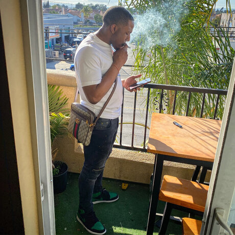 Taco_ star hd pictures