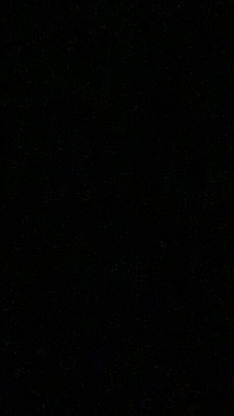 Taco_ star best archive