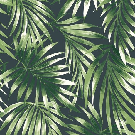 _FOOT GODDESS_ sex star pic