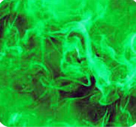 NatalieNapalm exclusive actress galleries