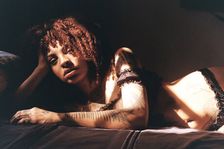 Moliv Painter Cool cat nice model galleries