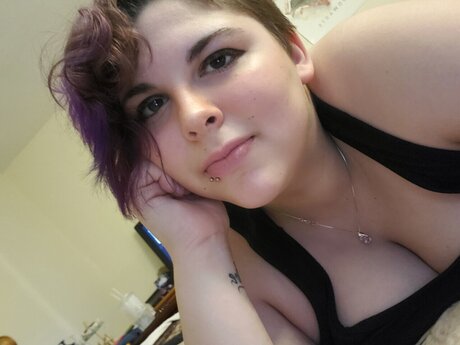 Aris star best galleries