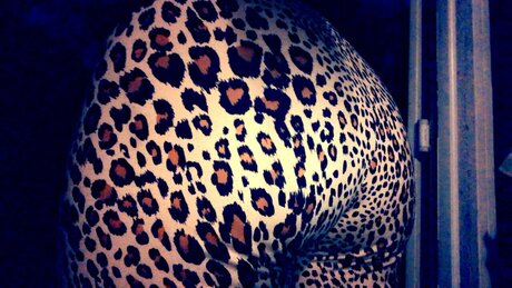 NotYourAngel model nudes picture