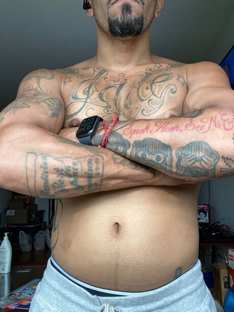 Jaybully star pretty gallery