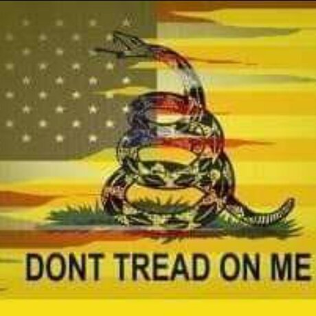 Prepped porn actress galleries