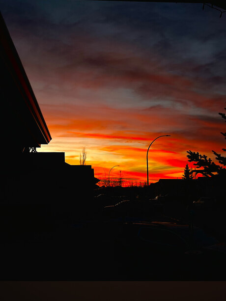 Ella May art pornstar pics