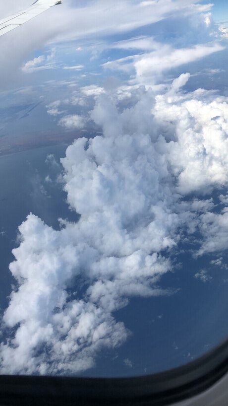 NiCholee model art pic