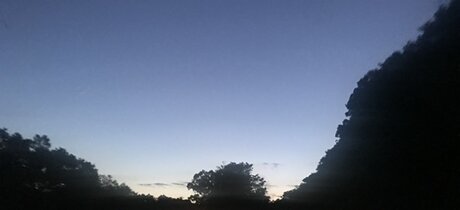 Feet Pic Provider top actress pics