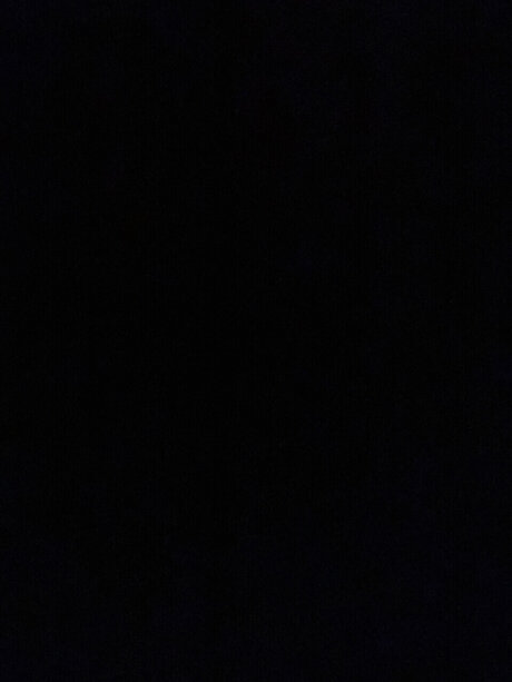 Bailie dianna top actress pictures