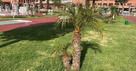 coco lls hot model photos