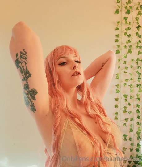 bebe blu free star picture