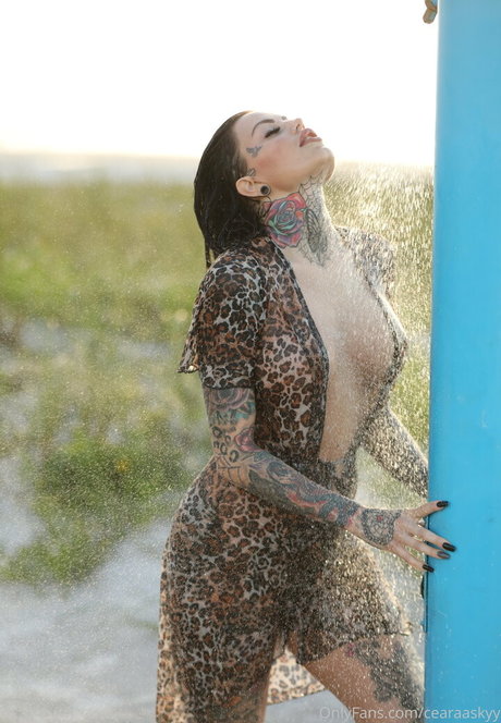 whitedovecries high quality actress gallery