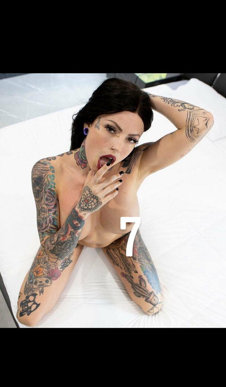 whitedovecries star high quality galleries