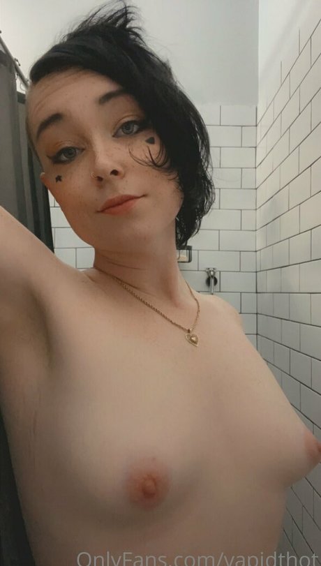 vapidthot pornstar image