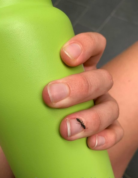 bakinggiantbuns sex pornstar pic