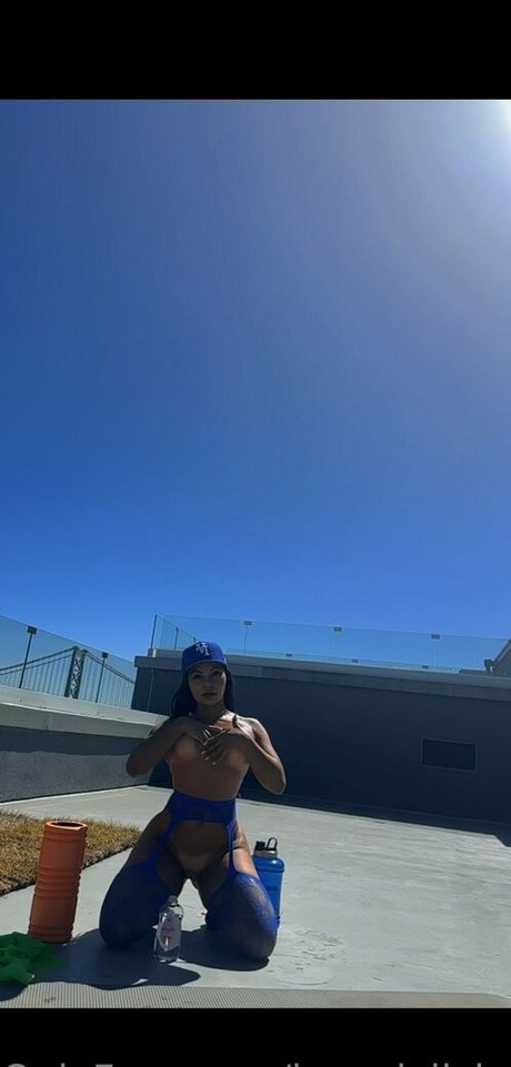 brandylicious art star images