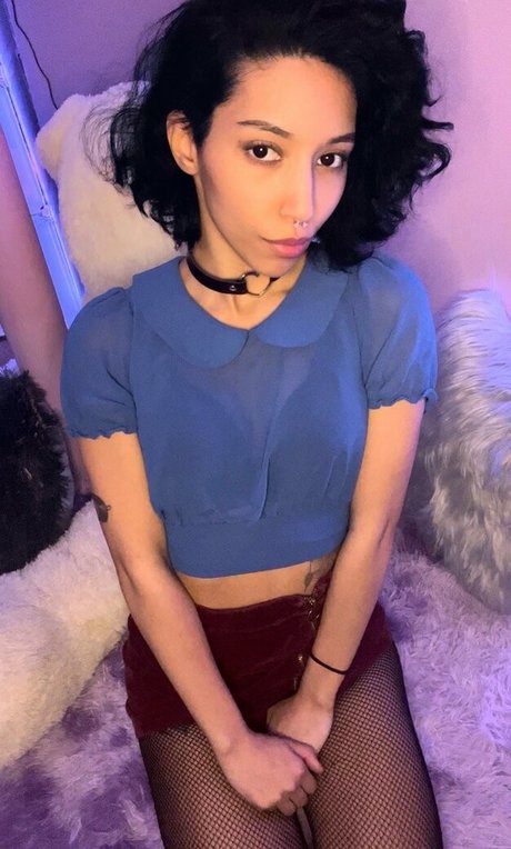 Kittenfox19 pornstar nude archive