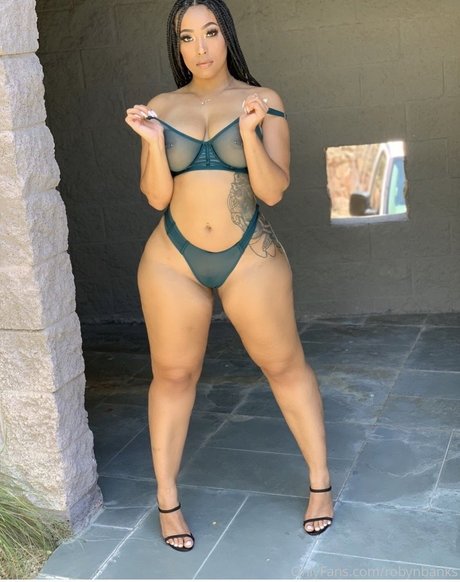 Robyn Banks pornstar high quality pic