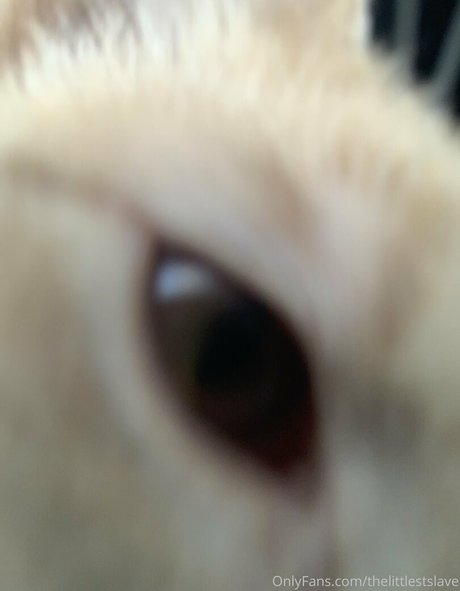 thelittlestslave star erotic images