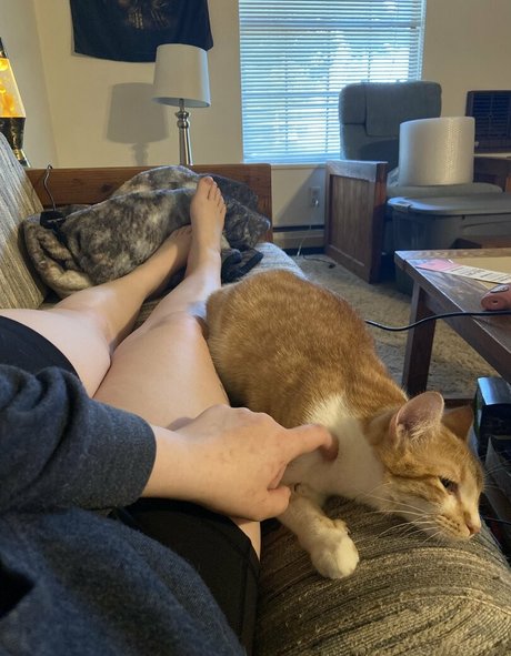 katiebuggz pornstar free gallery