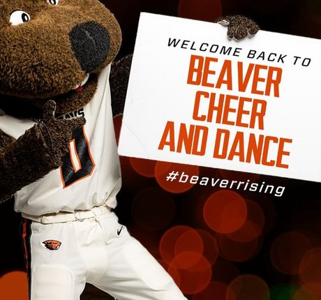 Taylor Johnson Cheer pornstar nude gallery