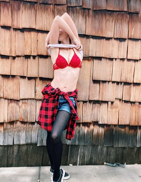 vuko_ star hd images