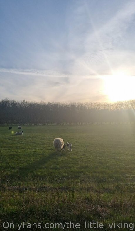 the little viking star naked pictures