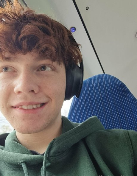 the little viking model art picture