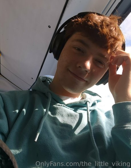 the little viking model best pics