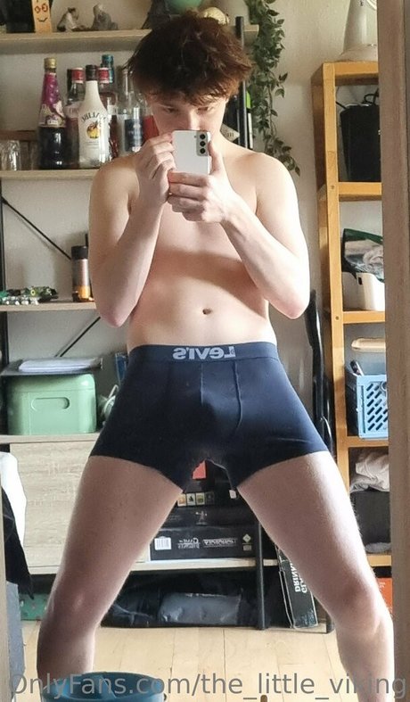 the little viking nice actress images