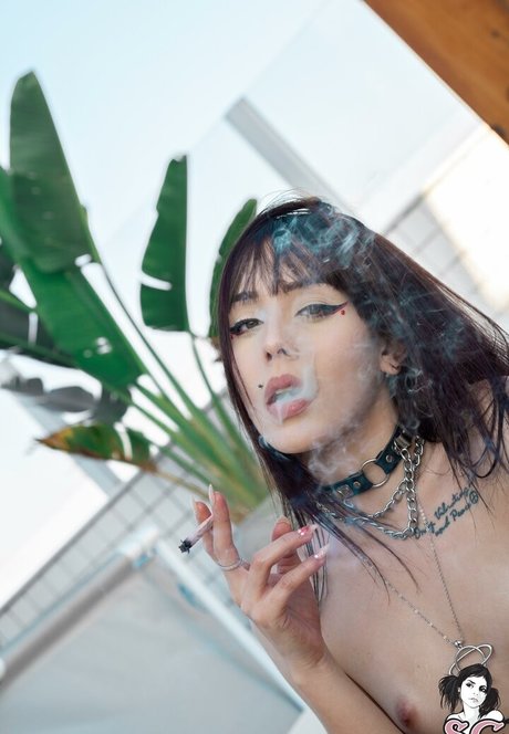 Satturno model free archive