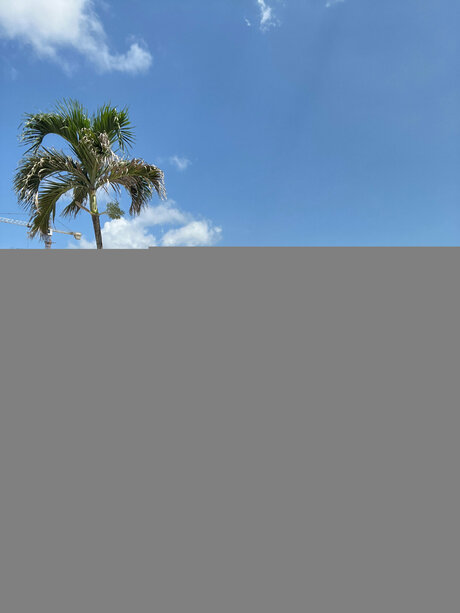 BiaBunnyy porn star pics