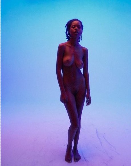 Nereyda Bird art star galleries