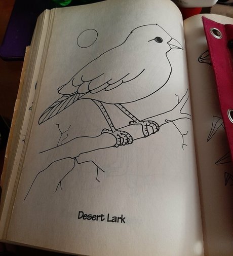 gorgeousgreeneyes best pornstar pic