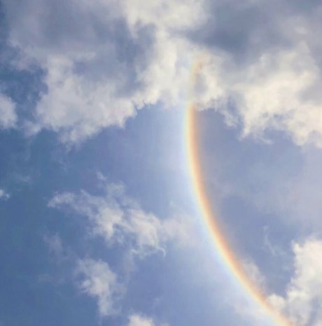 mynameiscat model perfect gallery