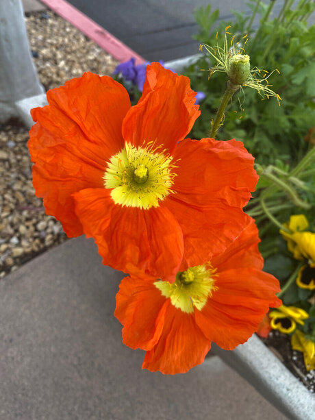 One Love Naked Yoga model top image