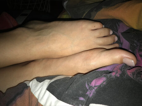 Domina T model best pictures