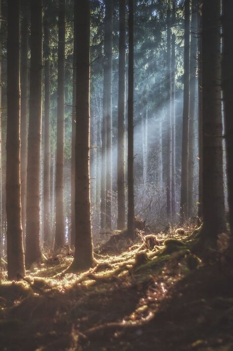 Goddess_ model pretty pic