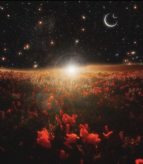 702latino model images