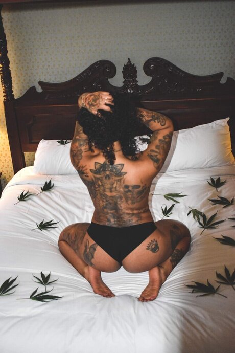 Miss Vixxie star adult photo